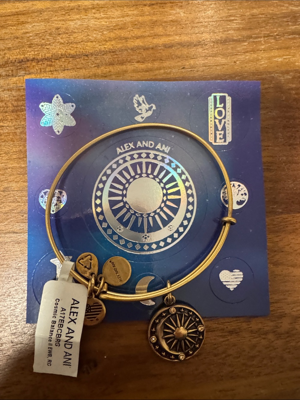 Alex and Ani Gold Tone Sun Compass Charm Bangle